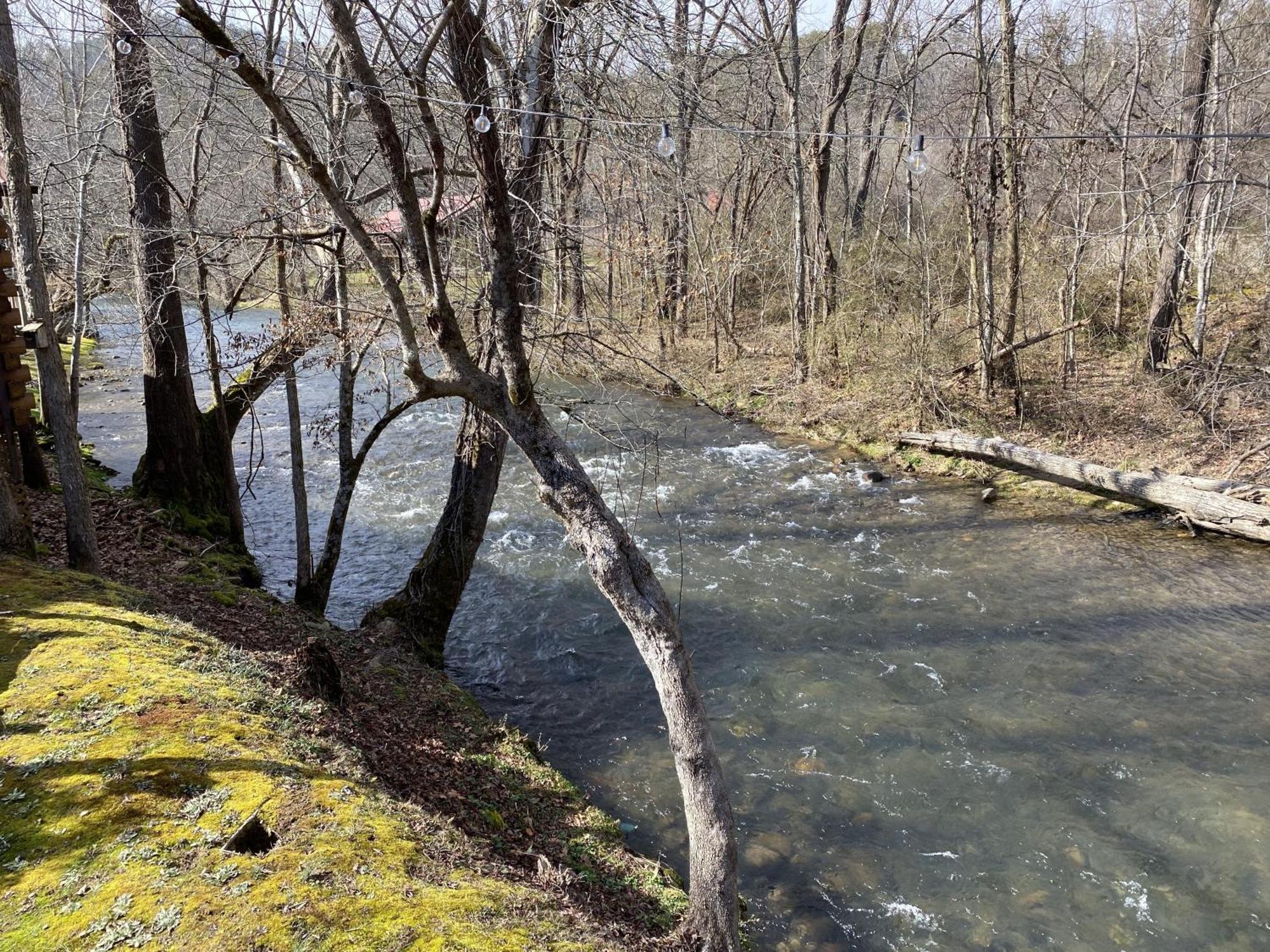 Gray'S Place On Cosby Creek - 2 Bedrooms, 2 Baths, Sleeps 6 Home Zewnętrze zdjęcie