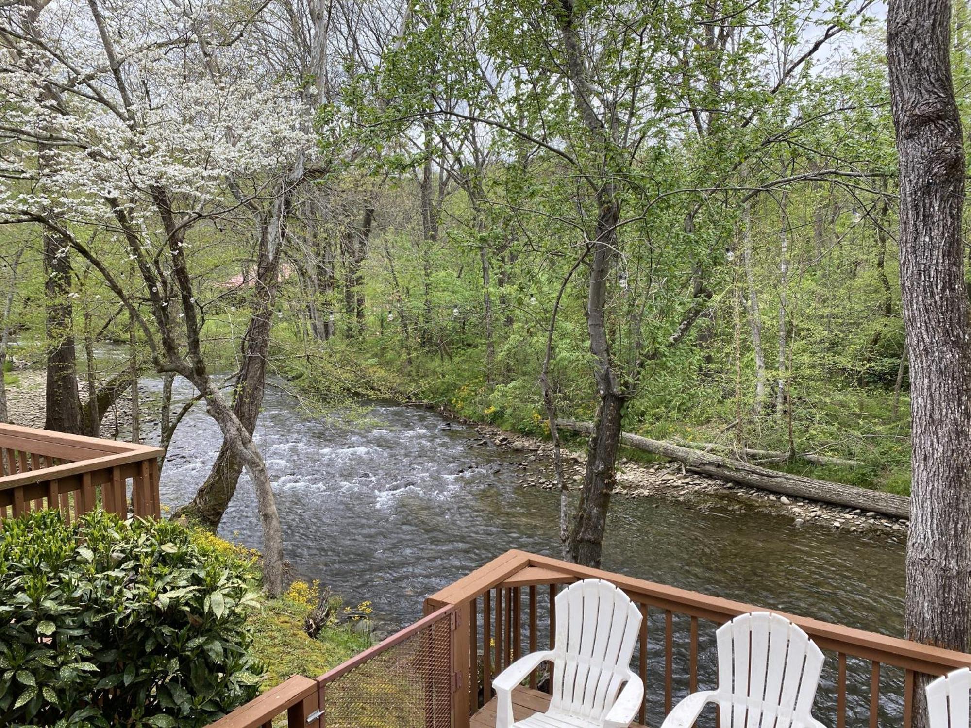 Gray'S Place On Cosby Creek - 2 Bedrooms, 2 Baths, Sleeps 6 Home Zewnętrze zdjęcie